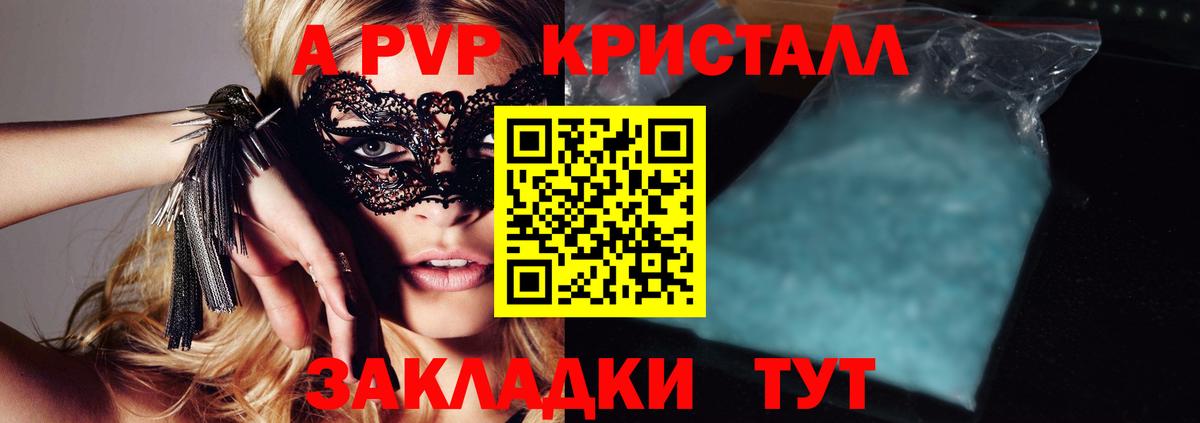 Alfa_PVP СК Кузнецк