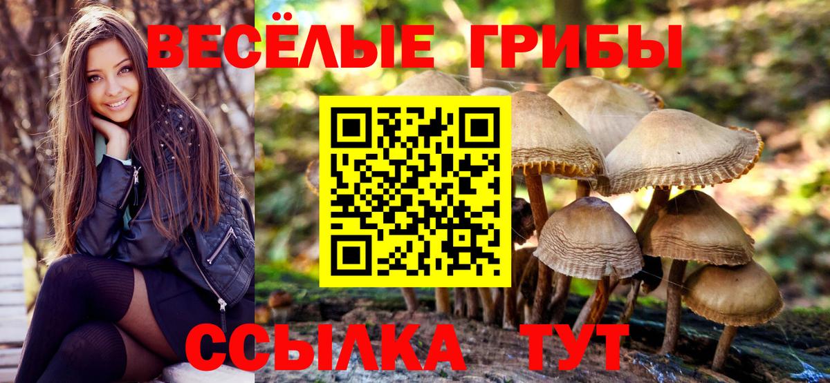 Галлюциногенные грибы Psilocybine cubensis  Псилоцибиновые грибы мицелий  Вход с VPN  Кузнецк 