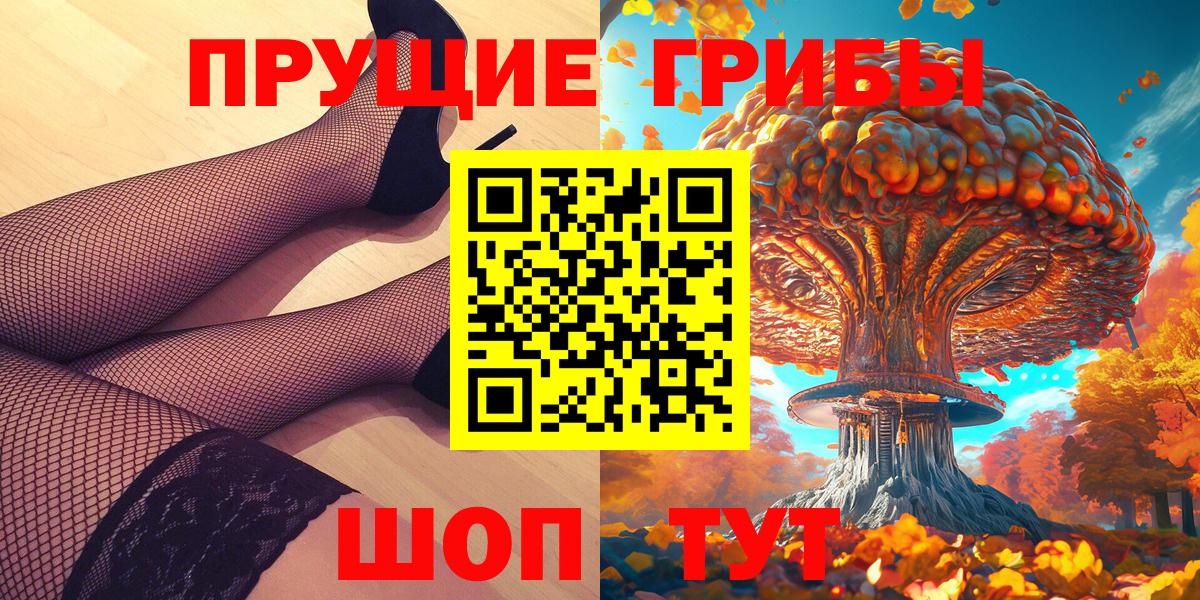 Псилоцибиновые грибы Psilocybe Кузнецк